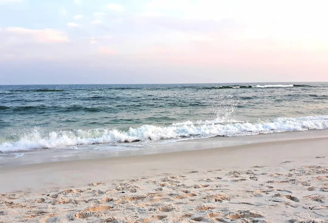 Image for Fall For The Coast